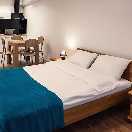 公寓 W Bizancjum 9 Parking Free 24h *